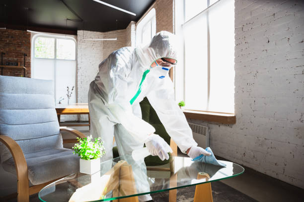 Why You Should Choose Our Mold Remediation Services in East Mountain, TX